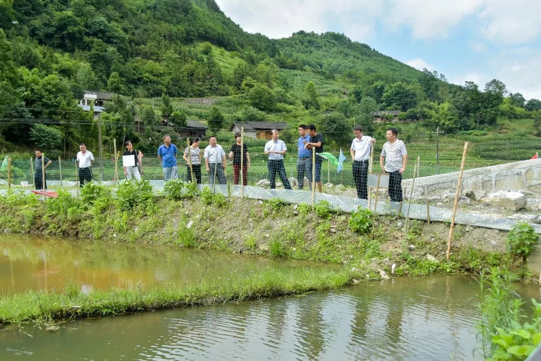 余庆县11个县直单位齐聚构皮滩镇主要为了这件大事