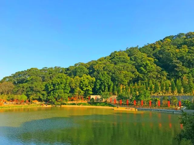 高蓋山公園坐落於 福州市區南臺島中部的高蓋山上 海拔202.