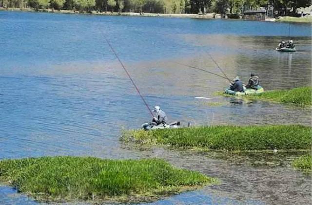 釣魚高手分享:夏季野釣選擇釣深還是釣淺,相當靠譜!