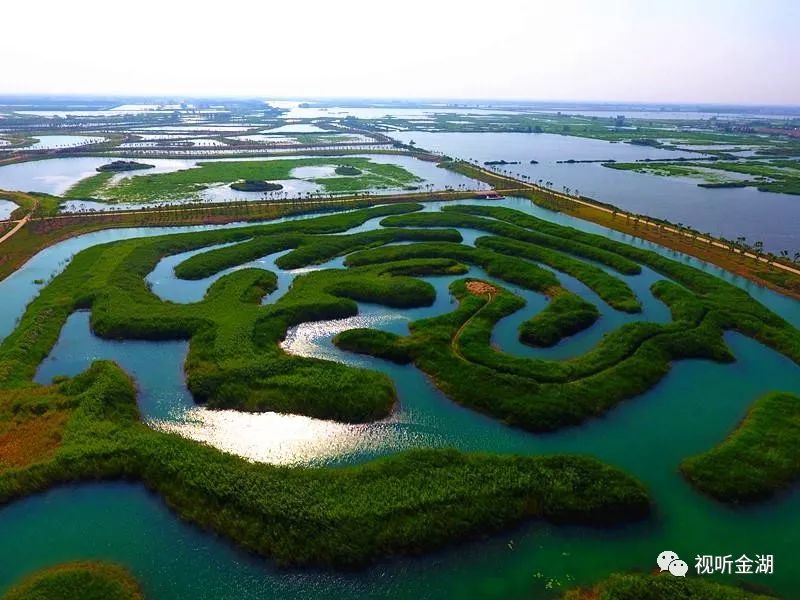 白马湖湿地公园美的让人窒息