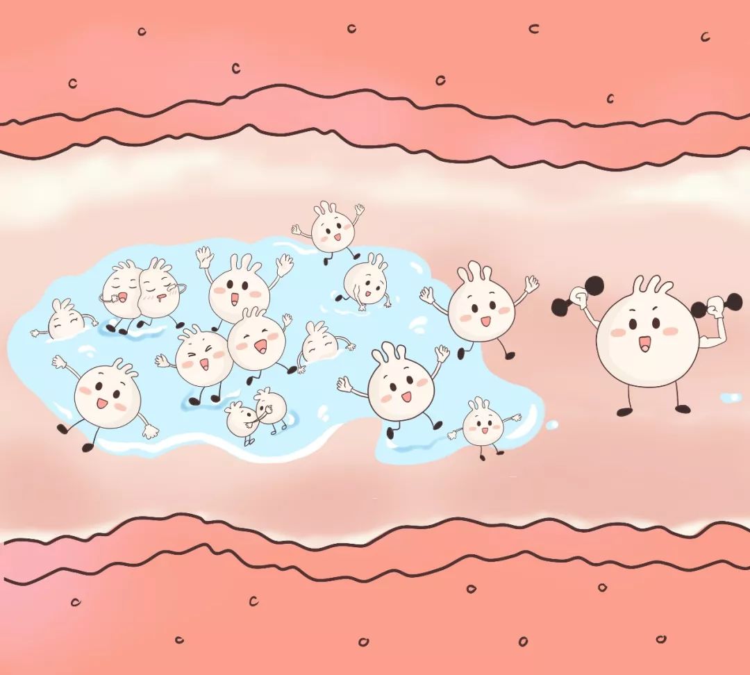 乳酸菌简笔画图片