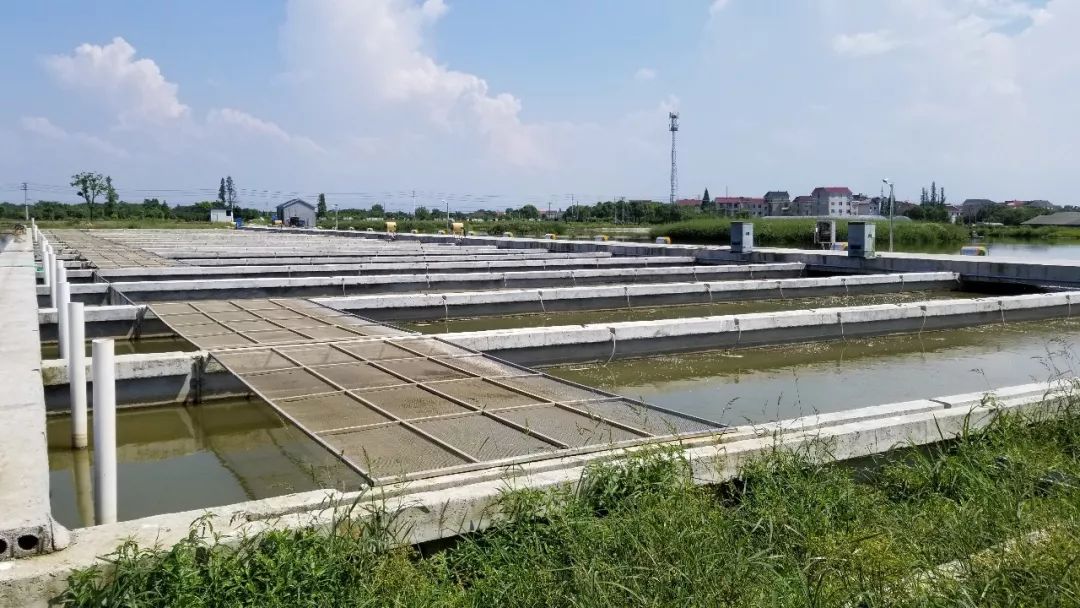 你見過池塘裡建跑道養魚嗎?上華這家水產養殖場就是這麼幹的