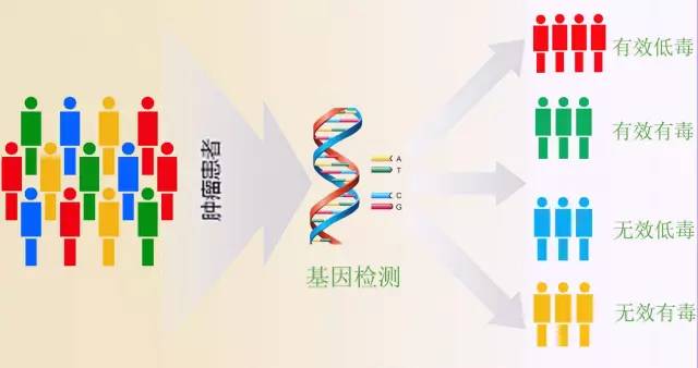 癌症个性化治疗的药物选择需要基因检测技术做支持