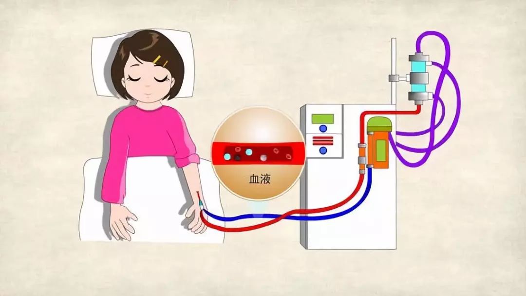 护士随笔血透室工作感悟