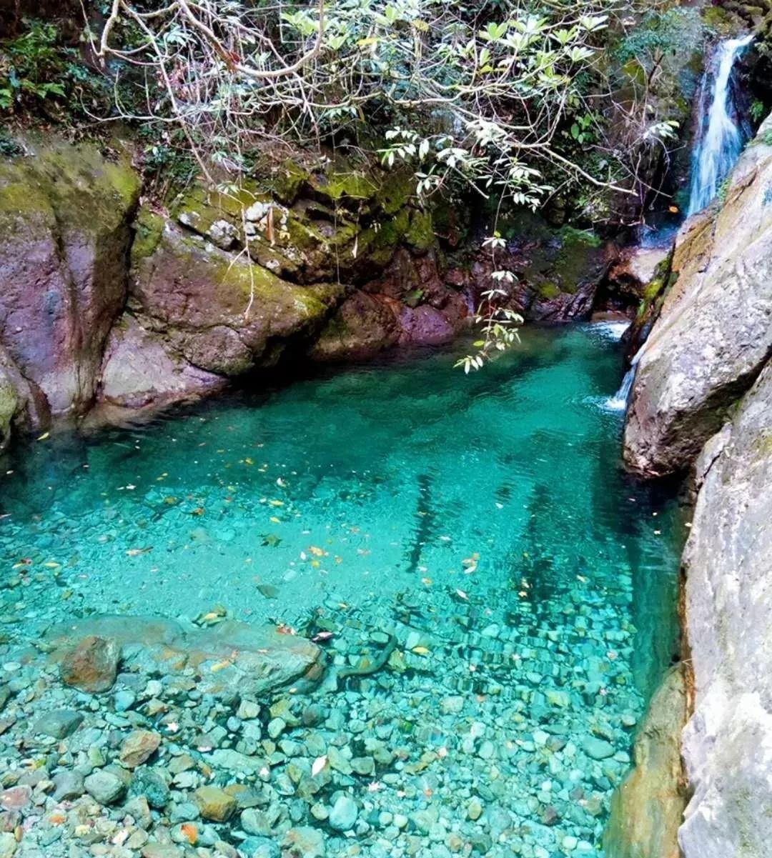 五星夢溫泉,3d玻璃棧道,神牛谷漂流,古堰畫鄉雙動三日遊