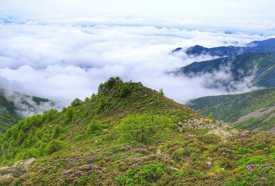 秦嶺山脈第一最高雲在腳下霧在飄之太白山驚險驚豔之旅