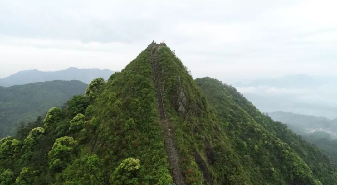 东安村地处雅阳镇东北面,位于58省道至雅阳城区连接线中点,距镇中心约