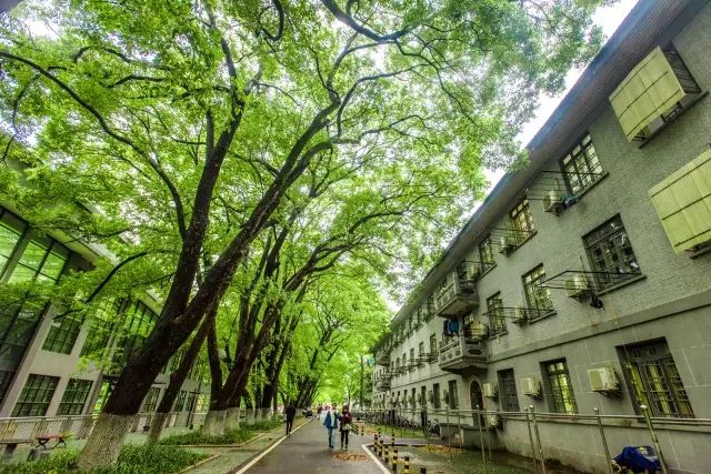 是时候推荐你pick华中师范大学了!