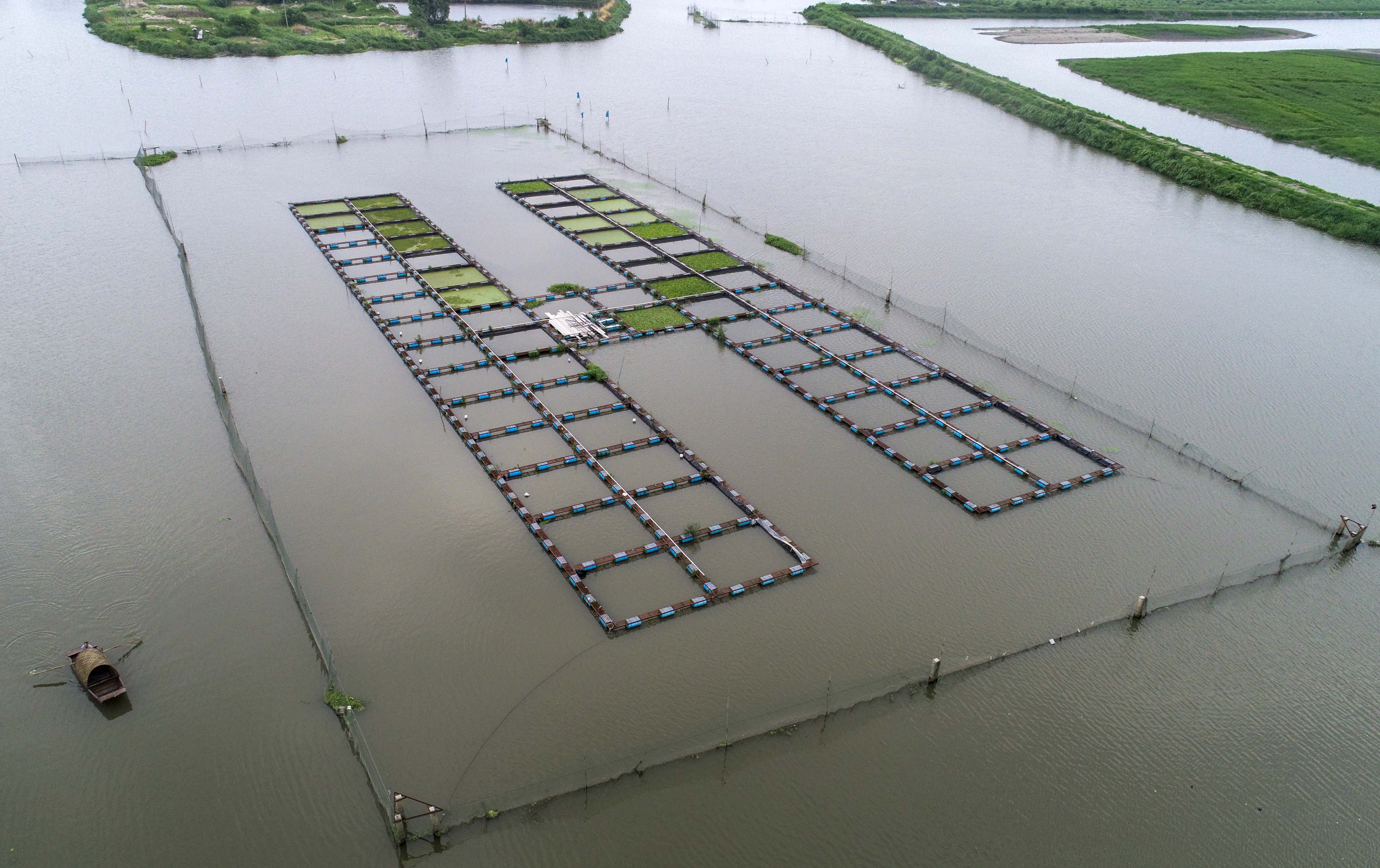 這是6月27日在江蘇興化市千垛鎮東羅村航拍的生態養魚網箱.