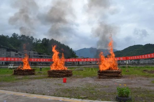 通江野味被燒!原來是