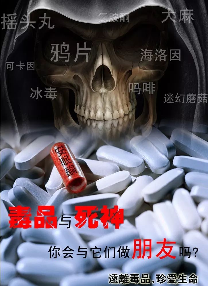 毒品的泛滥直接危害人民的身心健康,并给经济发展和社会进步带来巨大