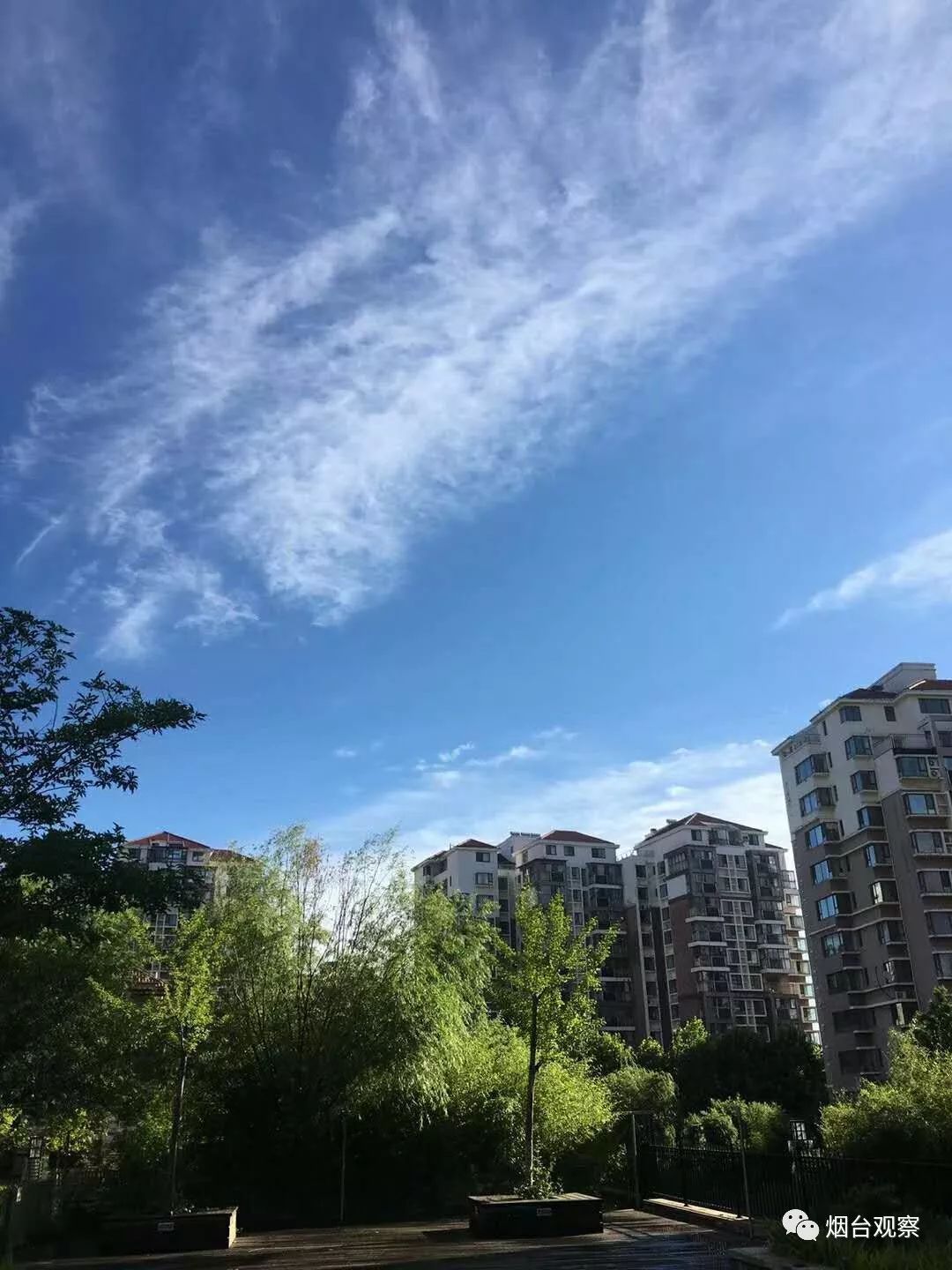 暴雨過後,抬頭已是晴空萬里