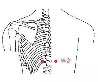 脾俞最简便的找法带图图片