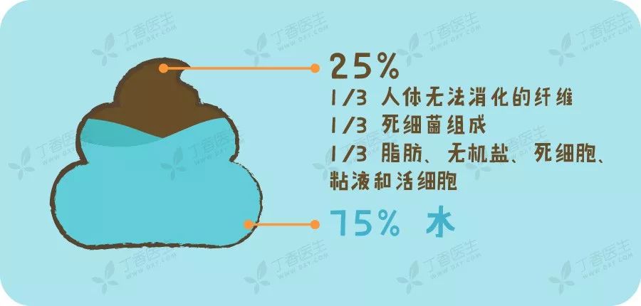 便便界的權威「布里斯托大便分類法」,把所有人的便便分為了七個類型