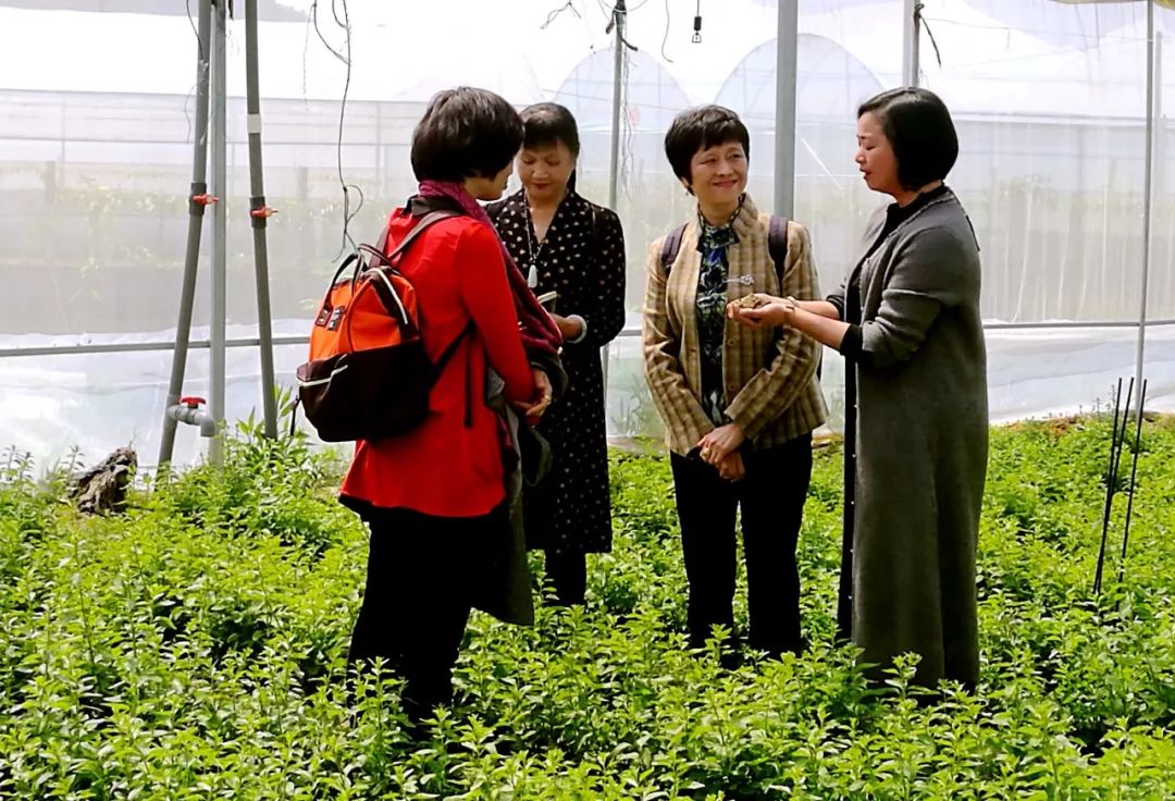 厦门素食地标绿素林纯素自助附99家厦门最新素食地图