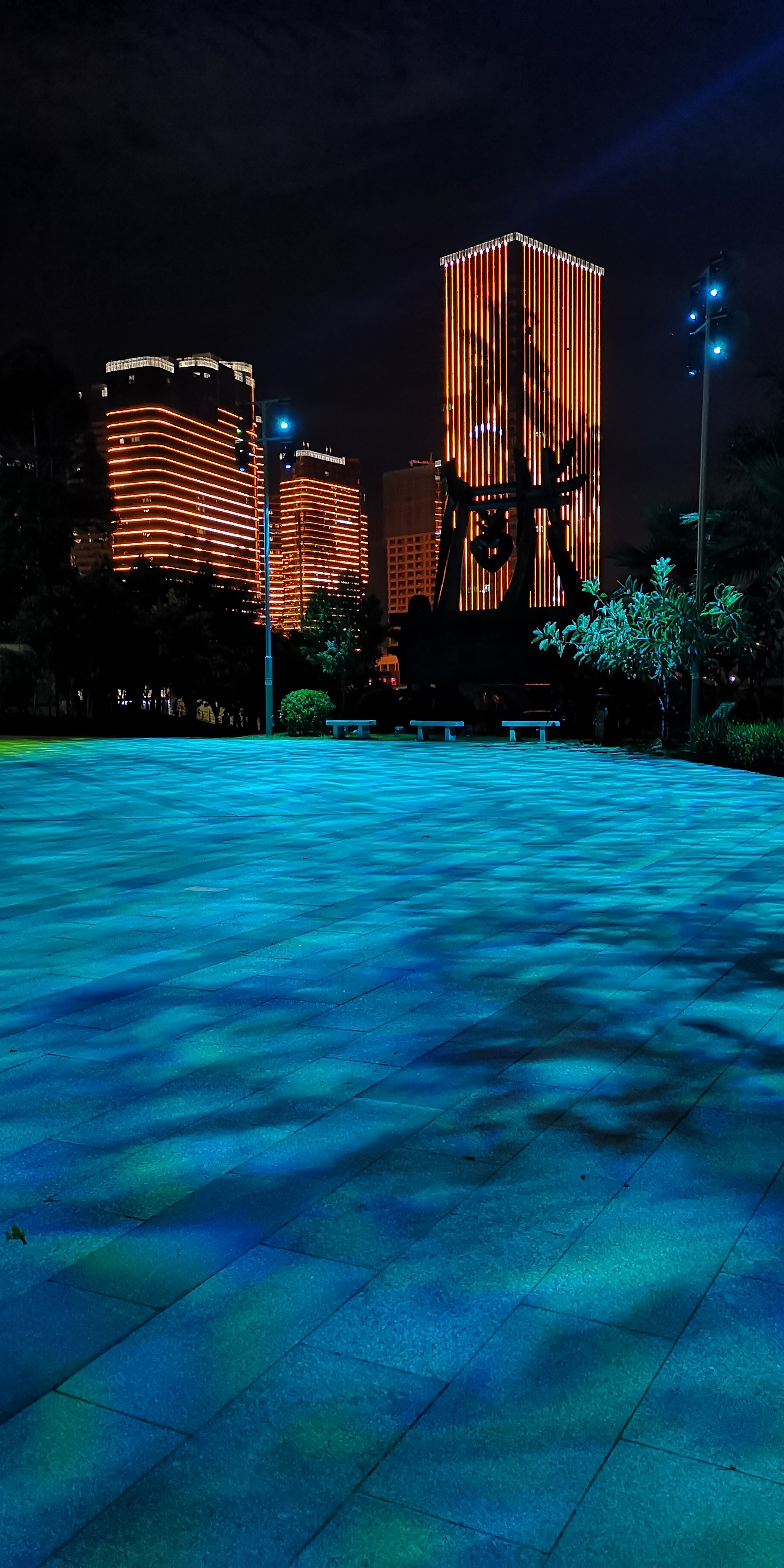 厦门海湾公园 夜景图片