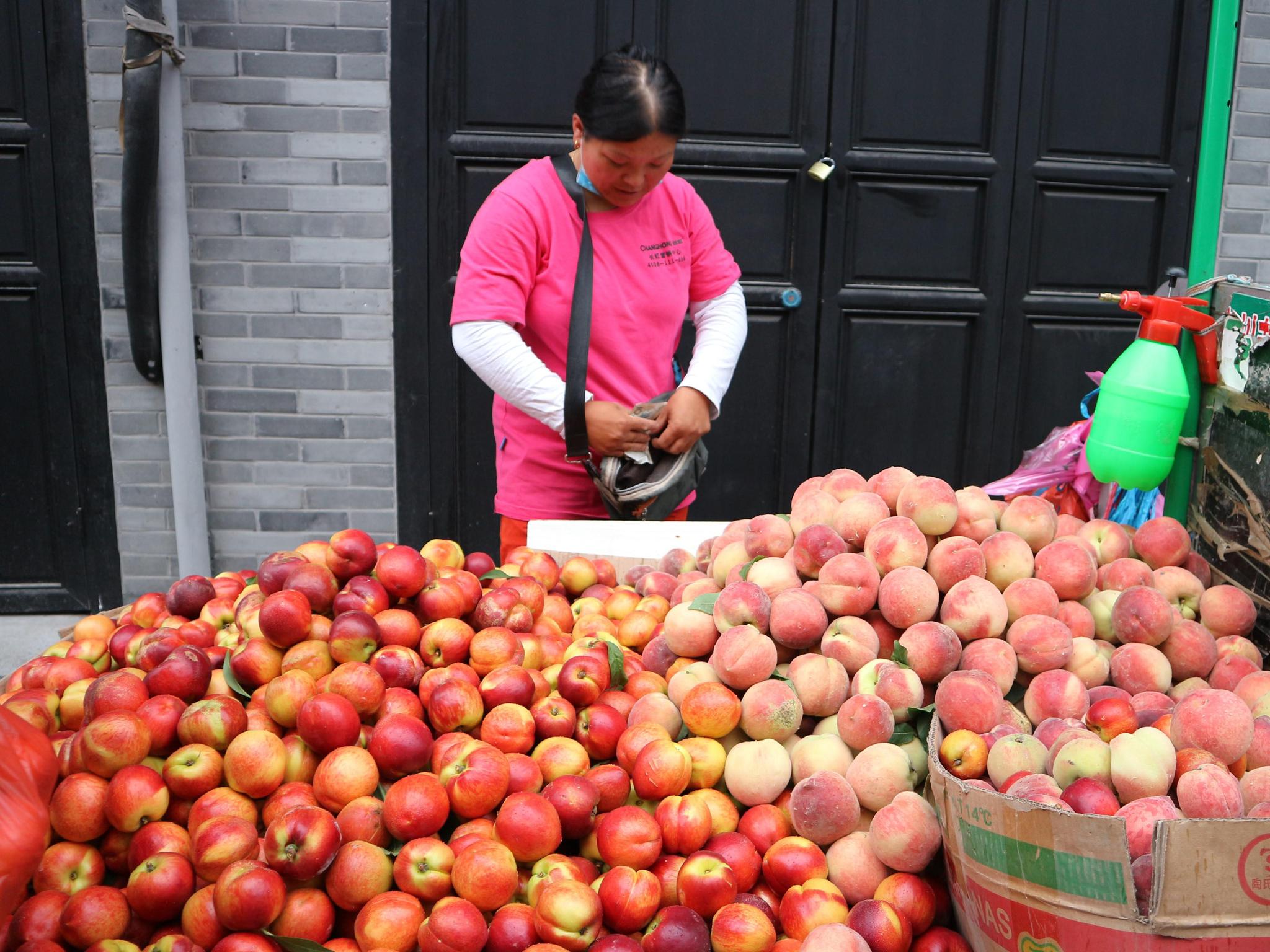 桃贱伤农!农村妇女进城卖桃子毛收入不足200元,中午不吃午饭