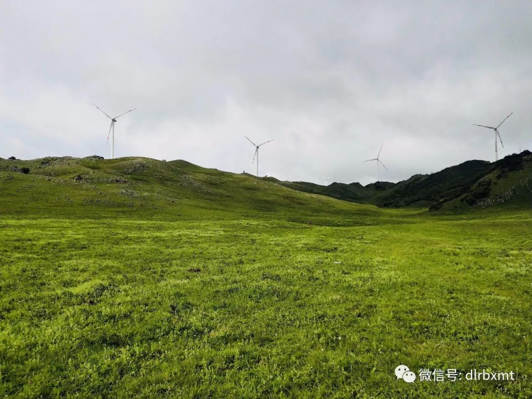 乌龙坝村委会是宾川县23个贫特困村委会之一,乌龙坝村易地扶贫搬迁点