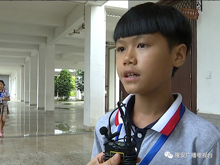 隆安宝塔实验小学简介图片