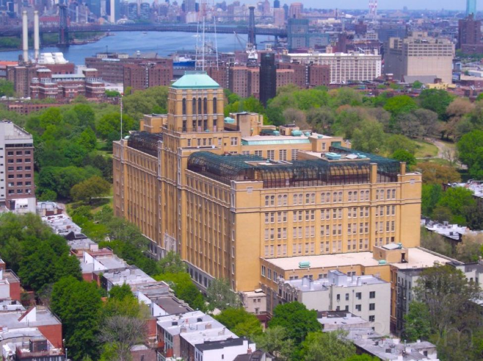 纽约布鲁克林大学图片