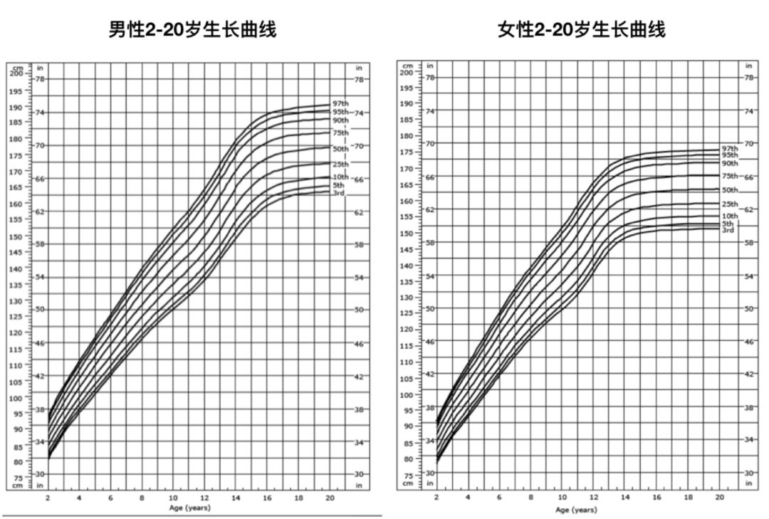 曲线里 5th 分位数,也就是在这个水平只有 5% 的人身高低于这条线),就