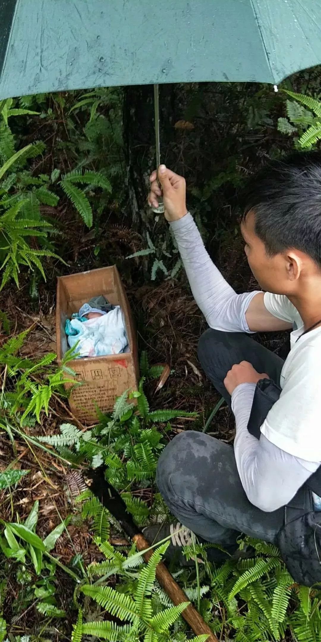 广西一男婴刚出生第一天就被遗弃草丛中