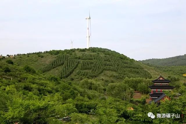 佛爾寺倚蛇仙洞天然大佛而建,佔地1.3萬平方米.