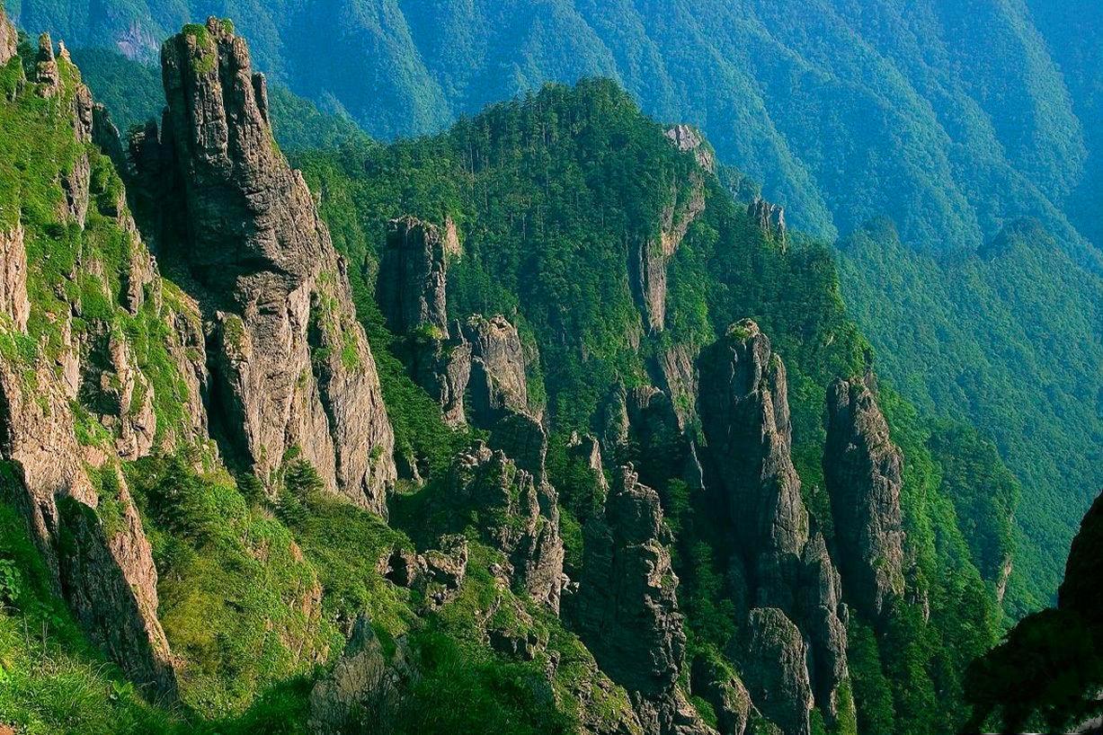 中国第一大原始森林图片