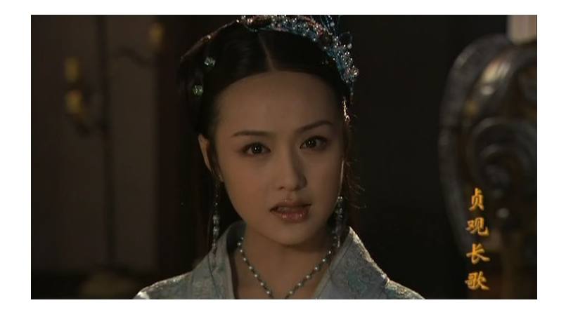 2005年出演电视连续剧《贞观长歌》中女二号海棠,正式开始演艺生涯 