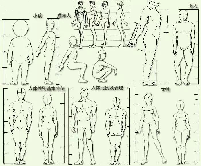 寫實漫畫頭身比例一般為7~7.5頭身(女:7頭身;男:7.5頭身).