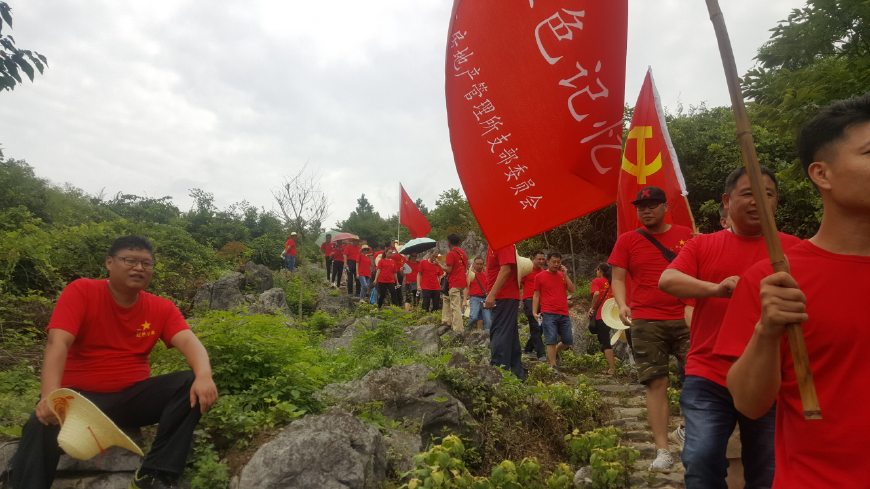 红色之地灌阳县酒海井的向日葵成了花海美了重走长征路的朋友们