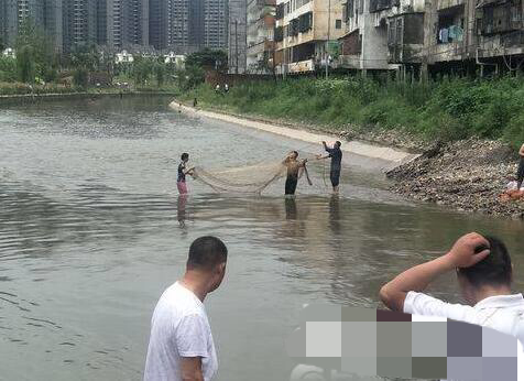 市民们纷纷穿着雨靴,提着水桶看上去真是有模有样,不一会就抓到了大鱼