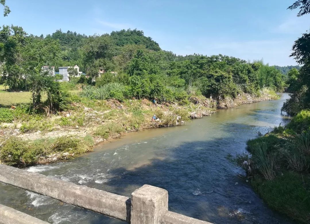 農村環境綜合整治督查情況通報出爐遂川這些地方又被點名通報啦