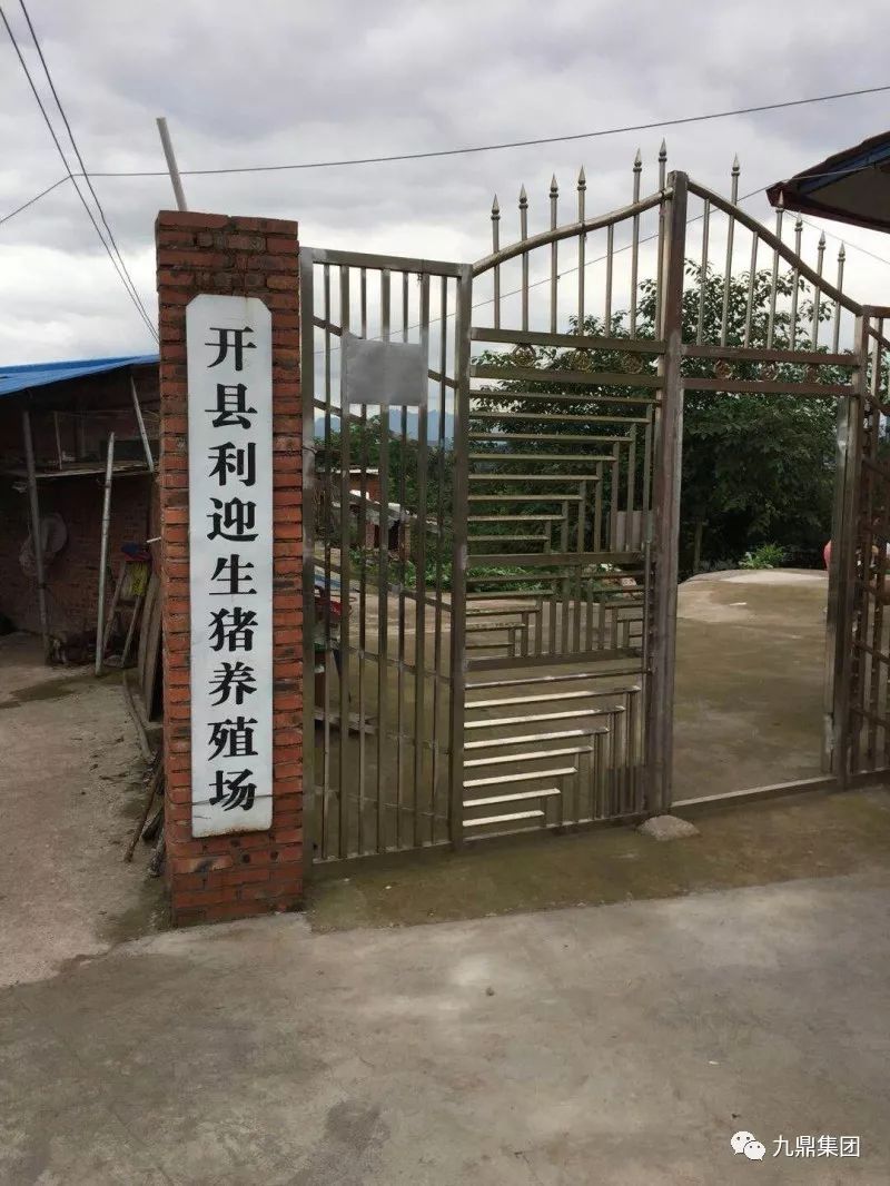 重庆开州区开县中和镇新义村利迎生猪养殖场,从2017年11月开洲九鼎