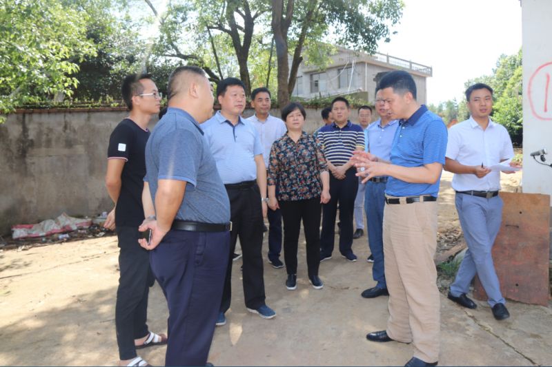 6月25日,信州区委副书记,区长胡心田,市绿投集团总经理丁毅一行来到