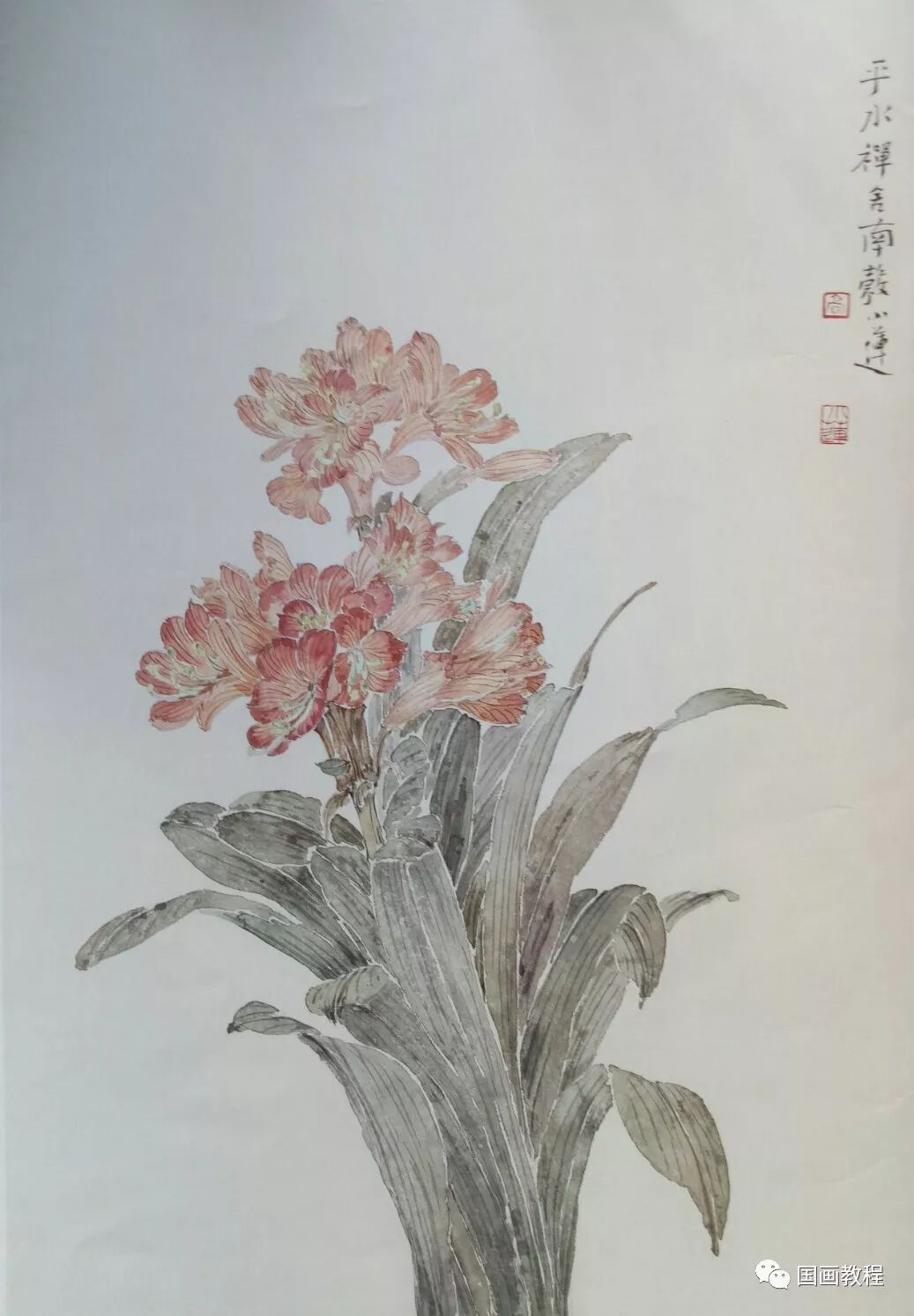 设色没骨草本花卉—《君子兰》步骤详解