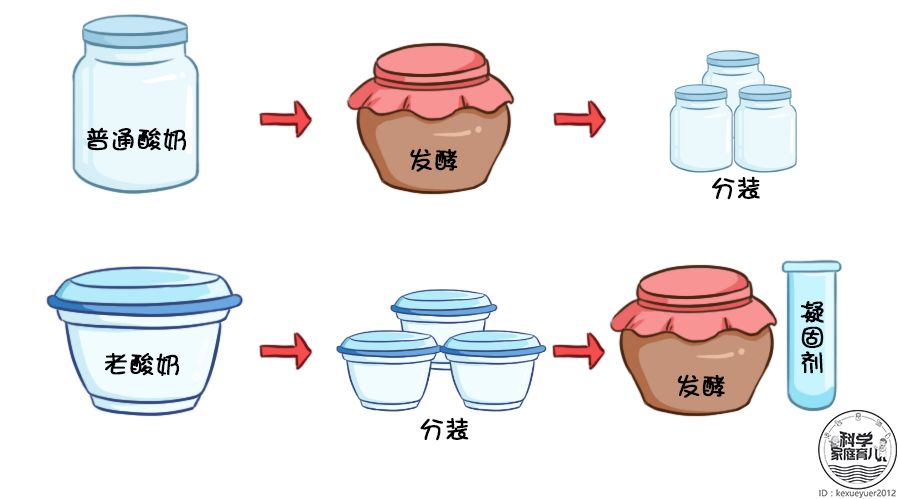 娃常喝的3种酸奶1种是假的1秒辨别