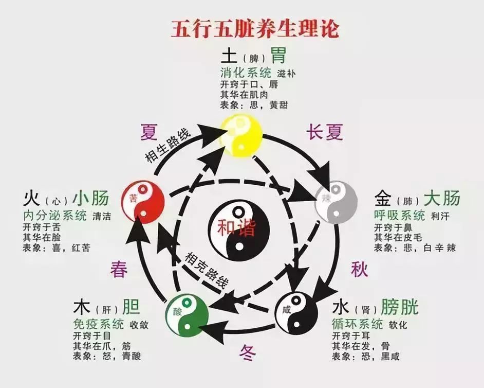 中医五行图 清晰图片