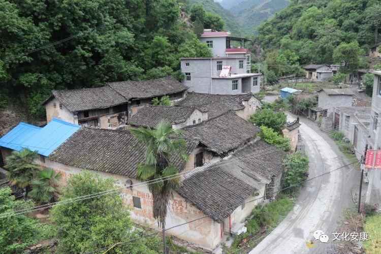 駱家院子,位於關口鎮泥溝村四組,村主幹道路繞院而過.