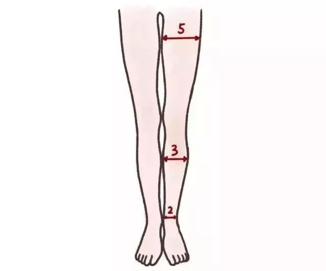 大腿围怎么测量图解图片