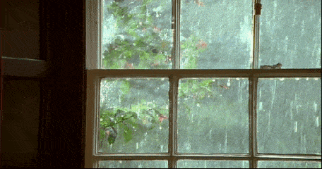 窗前看雨图片图片