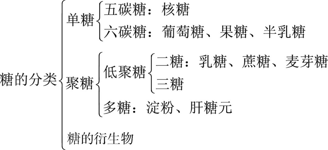 糖类知识点思维导图图片