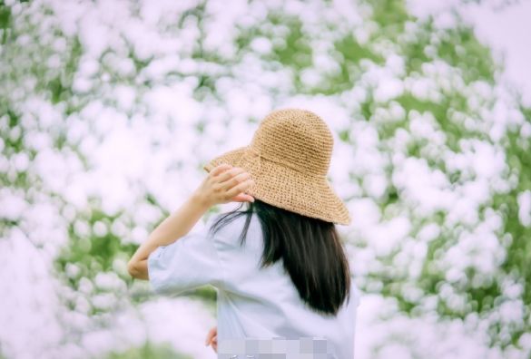 夏雨微涼心自清寧美文摘抄