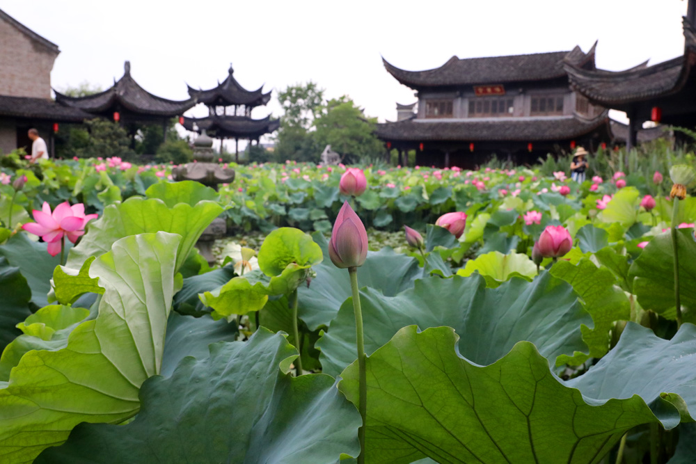 梁山伯功成名就於鄮縣(後為鄞縣)縣令,梁山伯帶病赴任,治理姚江水患