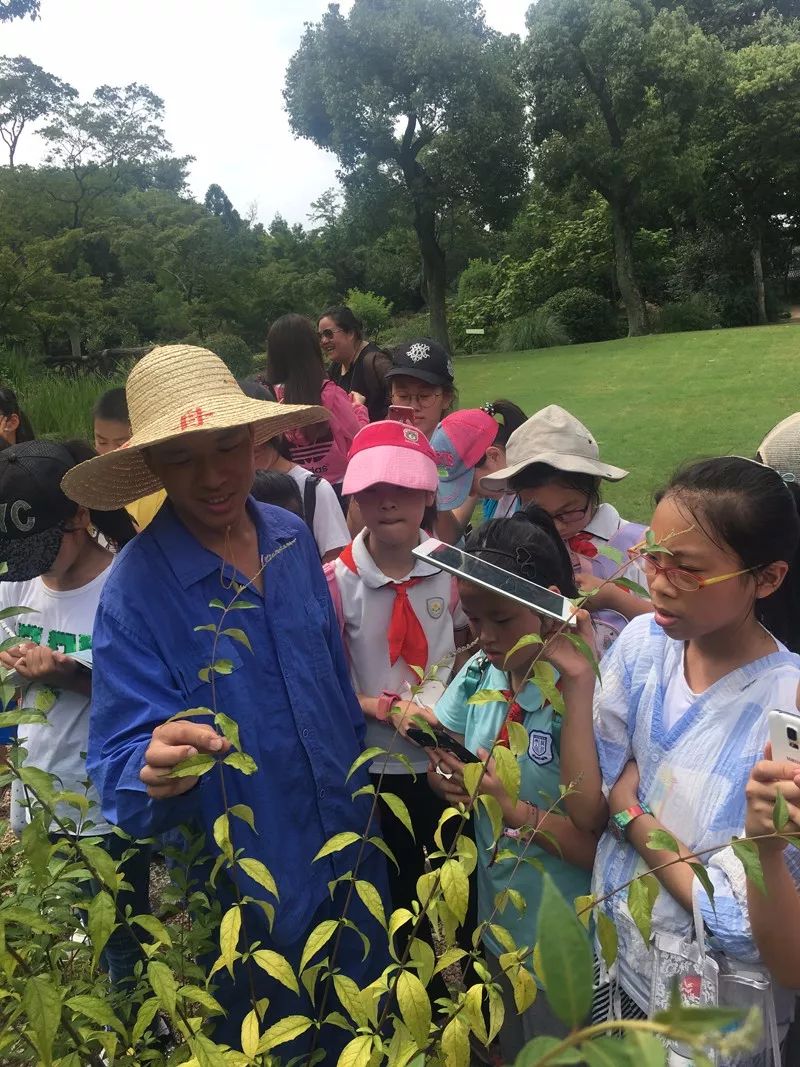 識百草品文化上海植物園中草藥研學活動紀實