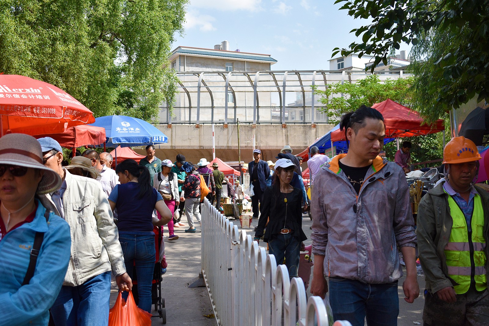 昆明小板桥狗市场图片