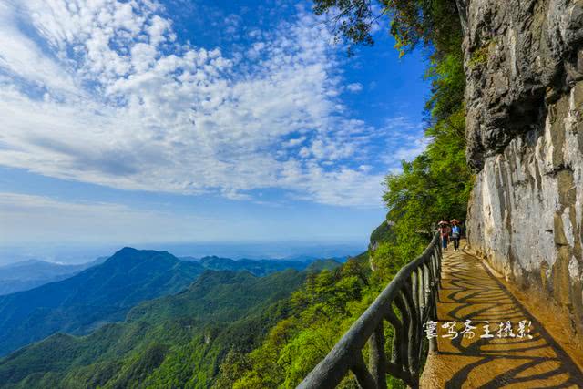 金佛山位於重慶市南川區境內,是國家5a級風景名勝區,國家級自然保護區