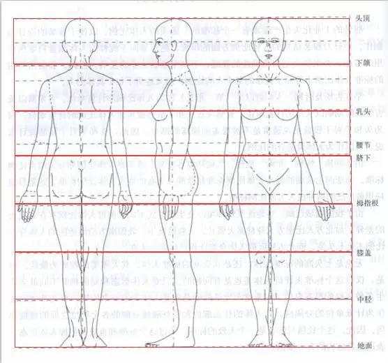 七头身人体画步骤图片