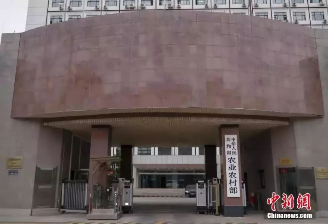 农业部大楼图片