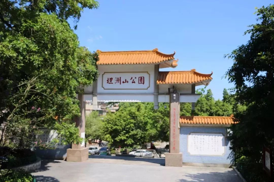 中山市坦背图片